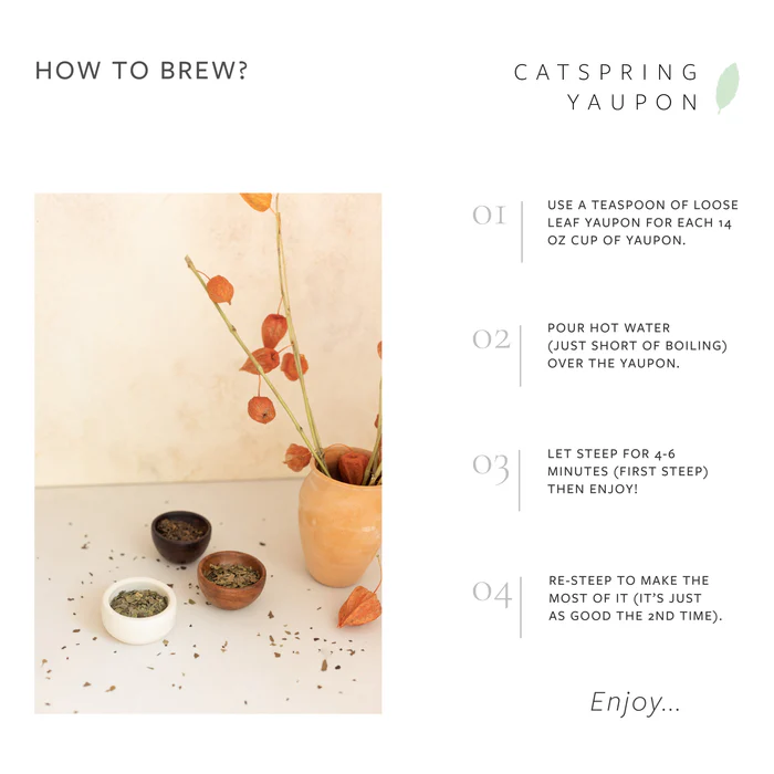CatSpring Yaupon - It's Texan, for tea - Multi Pack
