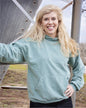 Texas Organic Cotton Pullover Hoody